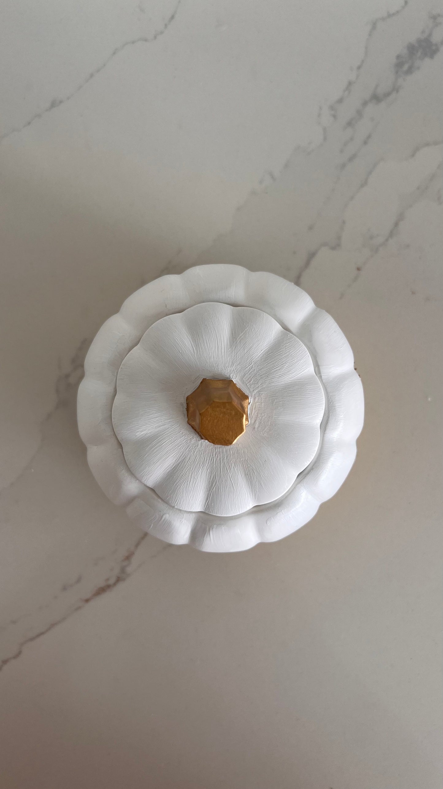 Abóbora vela/pote